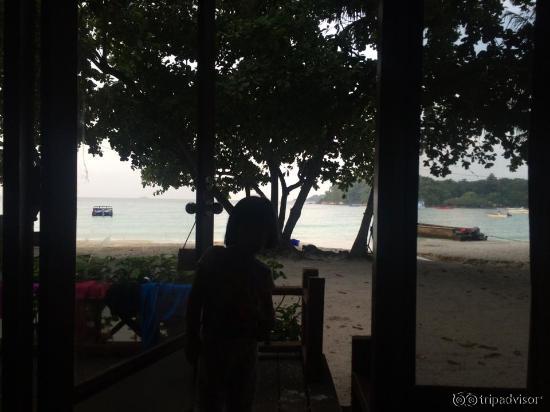 วิวมองออกไปจากห้อง beach front