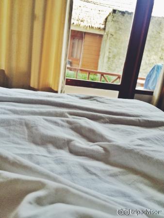 Morning view from the bed.