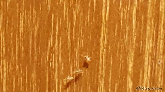 20151021_164432_large.jpg