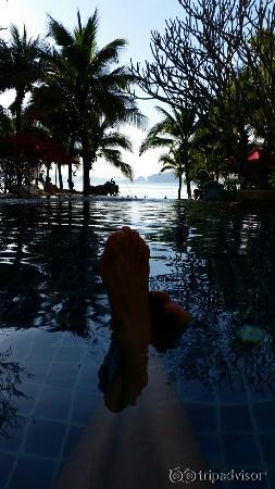 20151120_162437_large.jpg