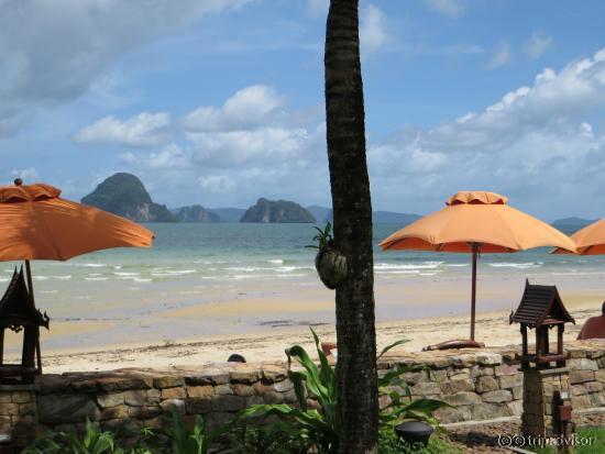The beach