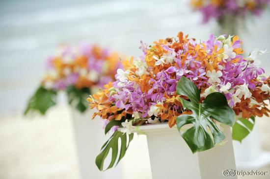 Beautiful flowers