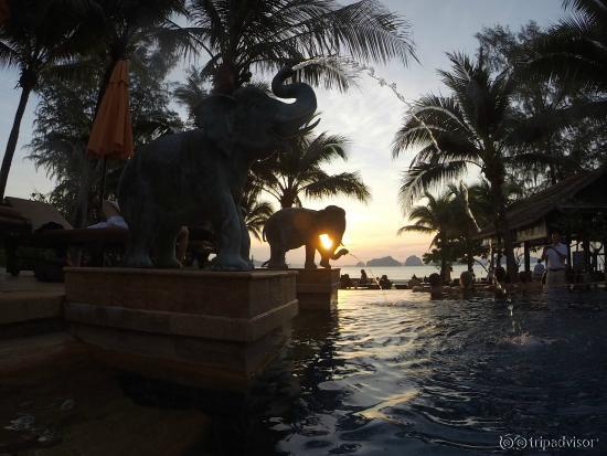 Happy elephants at the pool =)