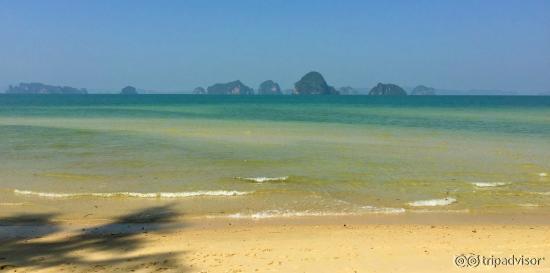 Gorgeous beach at hotel