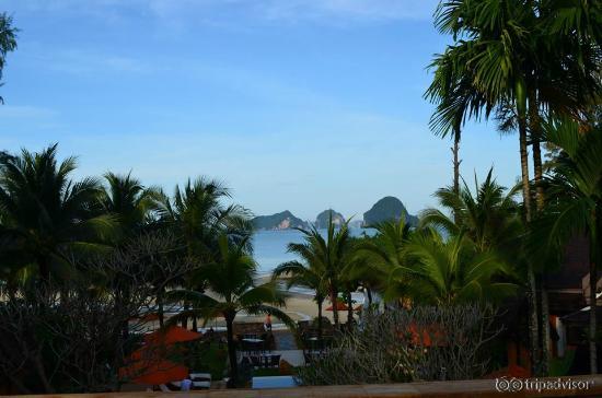 View from room