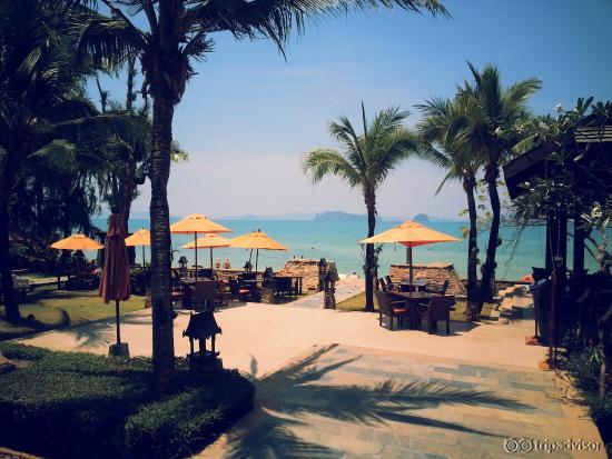 View of the beach from the pool