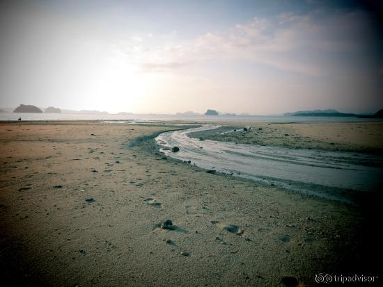 the beach