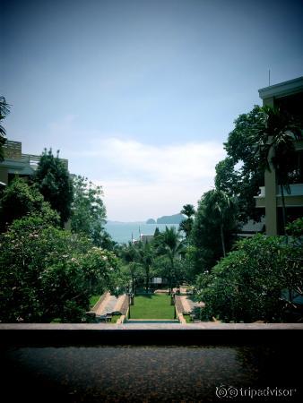 View from the loby