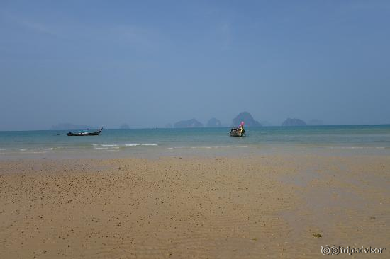 Magnifique plage devant l'hôtel (marée basse)