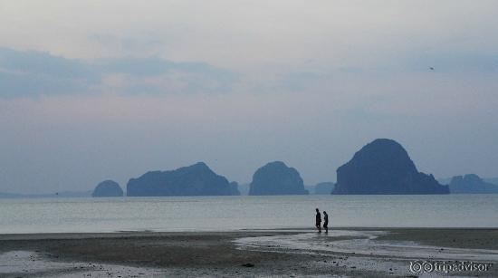 Beach view during tide