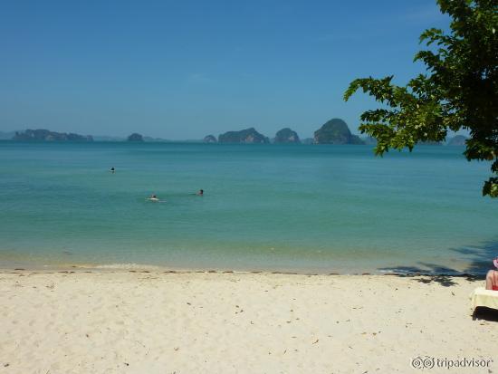 View from the beach