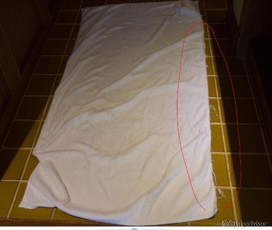 zerrissenes Handtuch