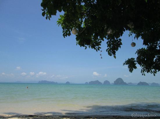 The beach