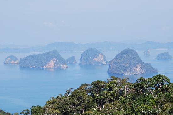View from half way point on nature walk