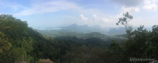 View from top of nature walk