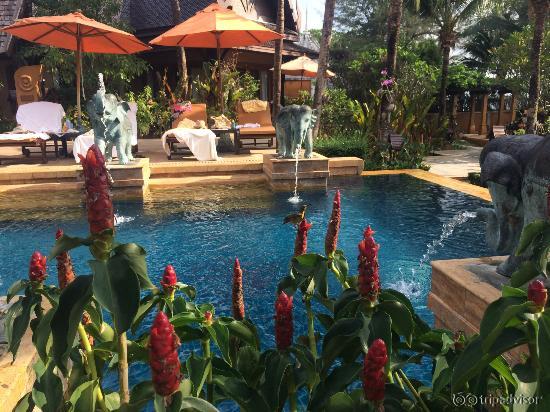 Pool area, spot the humming bird