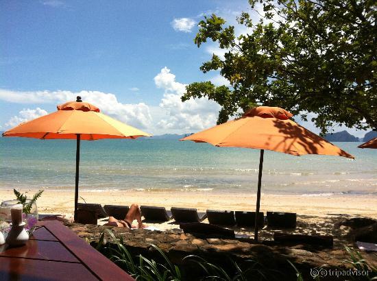 Hotel beach
