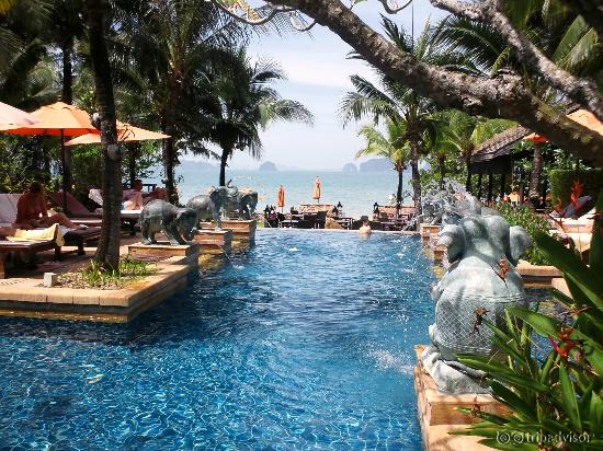 Swimming Pool area