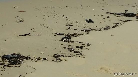 Dirty beach..