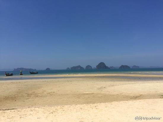 Lovely view from the beach