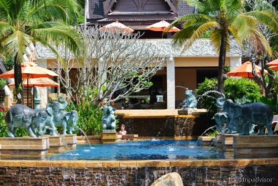 main pool area