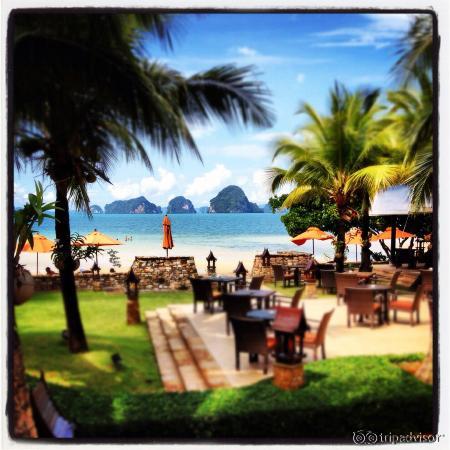 Paradise