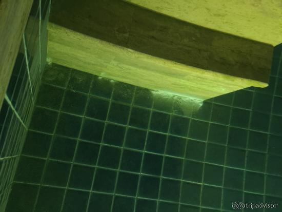 photo0.jpg