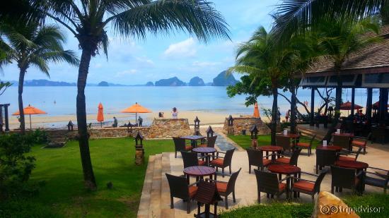 The Beachfront View
