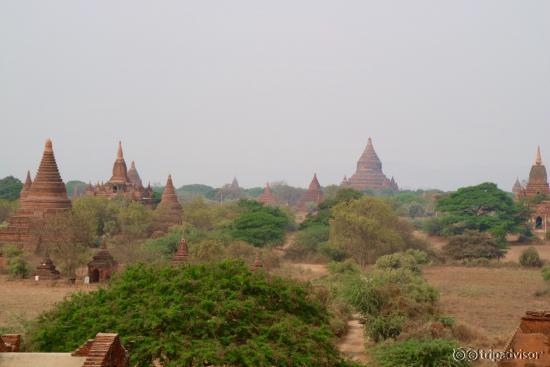 photo0.jpg