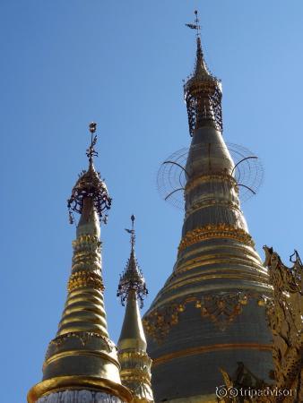 photo1.jpg