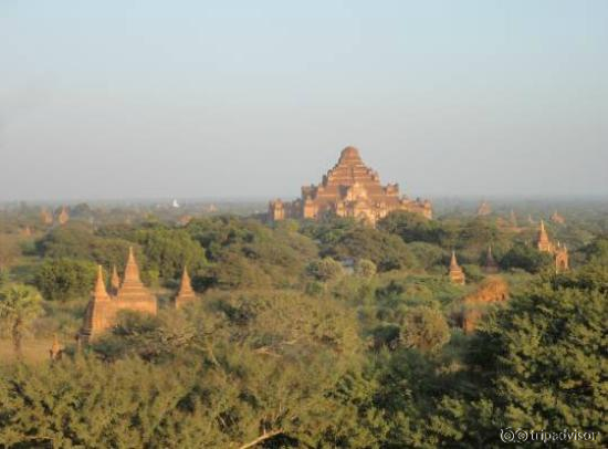 Dhammayangyi at sunset from Shwesandaw