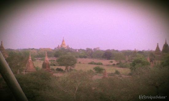 during sunrise