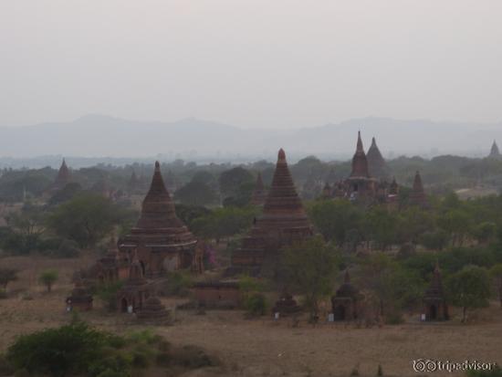 vue depuis la pagode