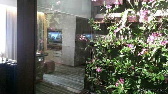 Comfortable