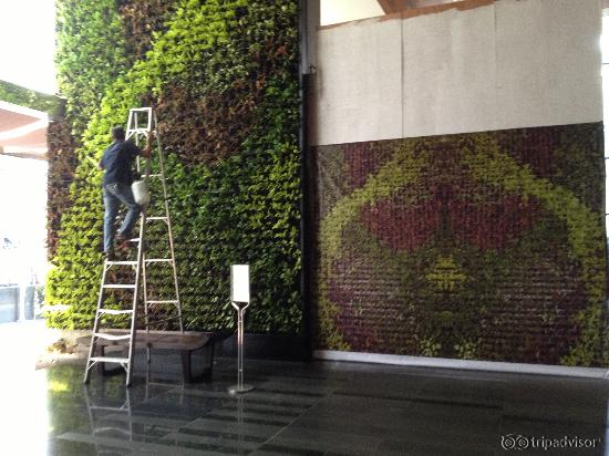 Green design