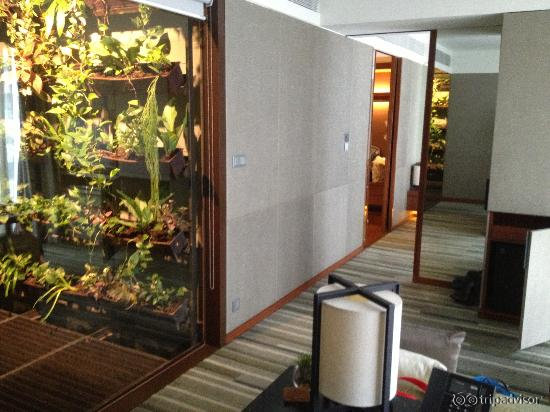 Hanging garden in suite