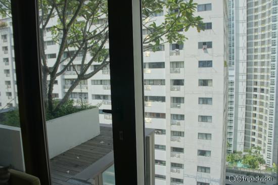 View from my suite