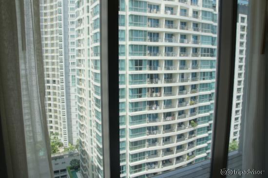 View from my suite