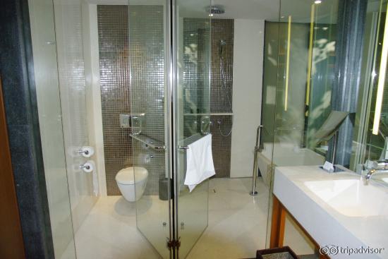 separate Toilette mit Glaswand