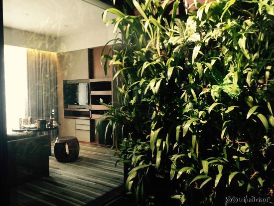 Vertical garden in the room