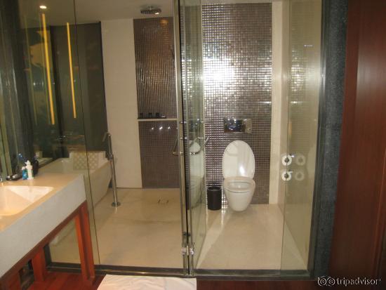 The fantastic rainfall shower on the left