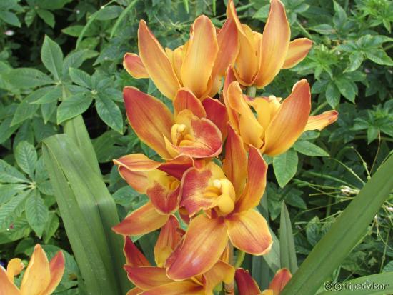 one of the thousands available to see