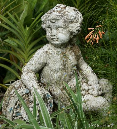 Botanic Gardens & Orchid Gardens.