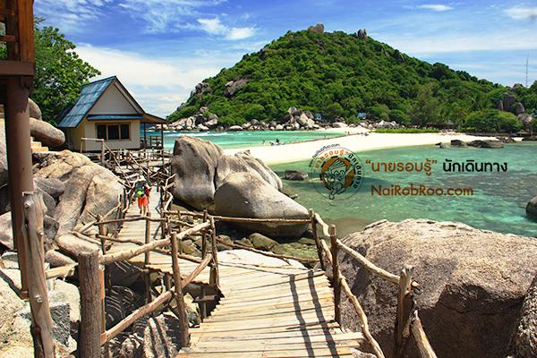 เกาะเต่า