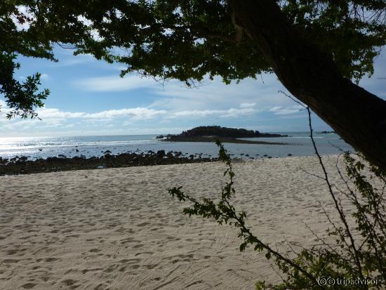 beach and island