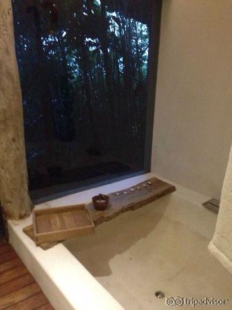 View from the bath in a jungle villa...