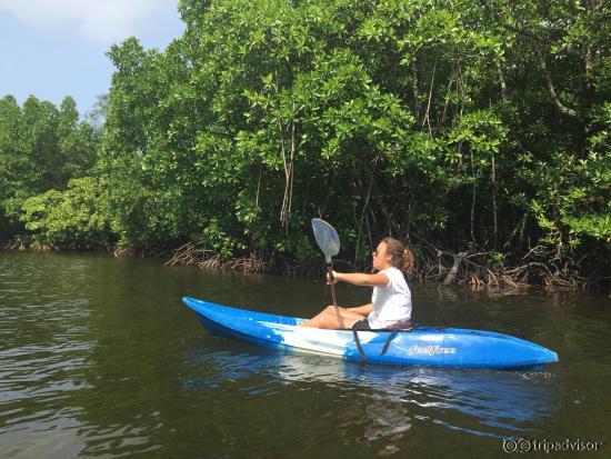 Mangroves Kayaking