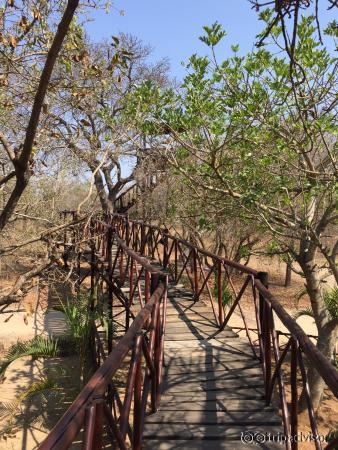 Raised walkway to the Lookout