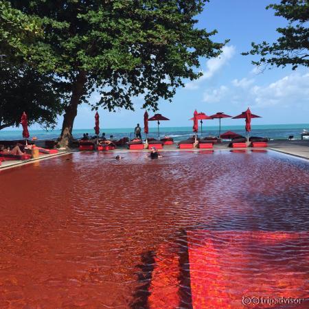 The iconic red pool