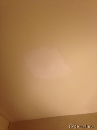 Paint patches on ceiling